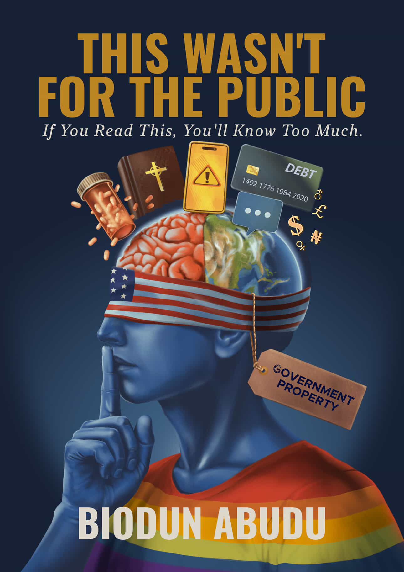 BN Book Excerpt: This Wasn't For The Public by Biodun Abudu