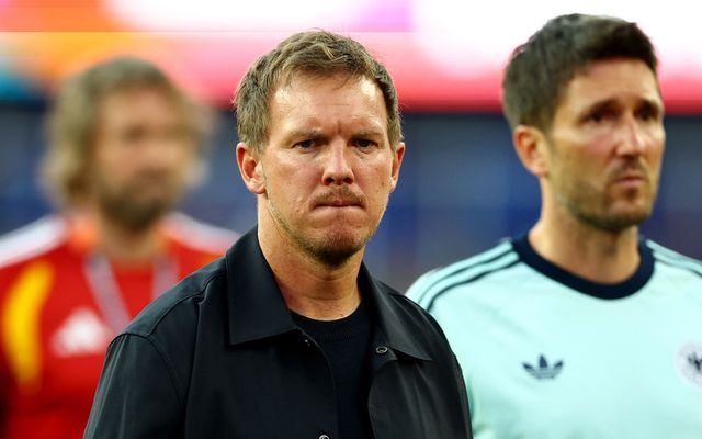 Julian Nagelsmann steps down as Germany head coach