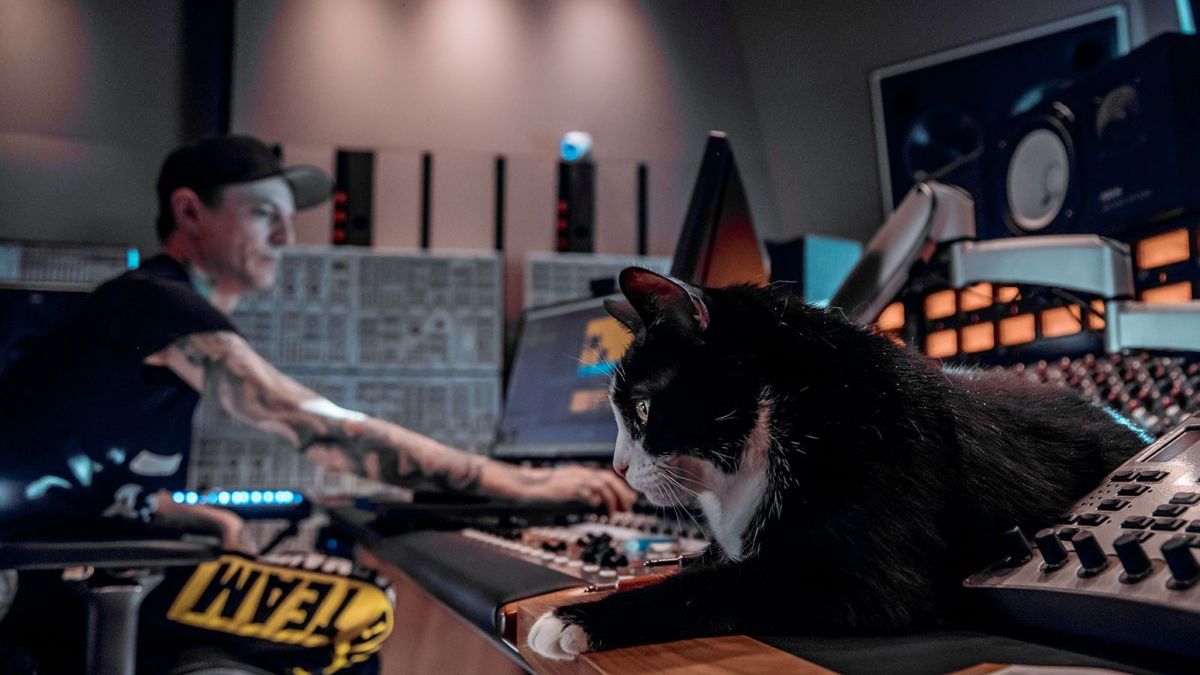 Deadmau5 Donates $30,000 to Help 27 Rescue Cats: 'I Got You' — News news on dripviewz