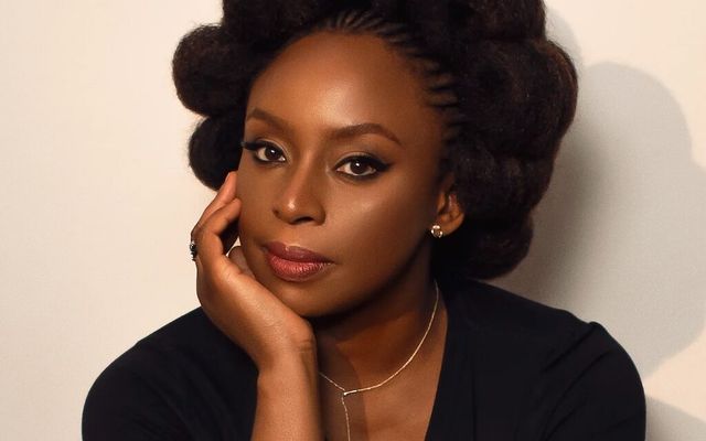 Judge orders suspension of inquest into Adichie's son's death — Movies story on dripviewz
