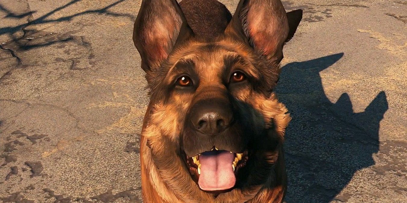 Woman's life saved from gun-wielding dog by brave gaming PC — News story on dripviewz