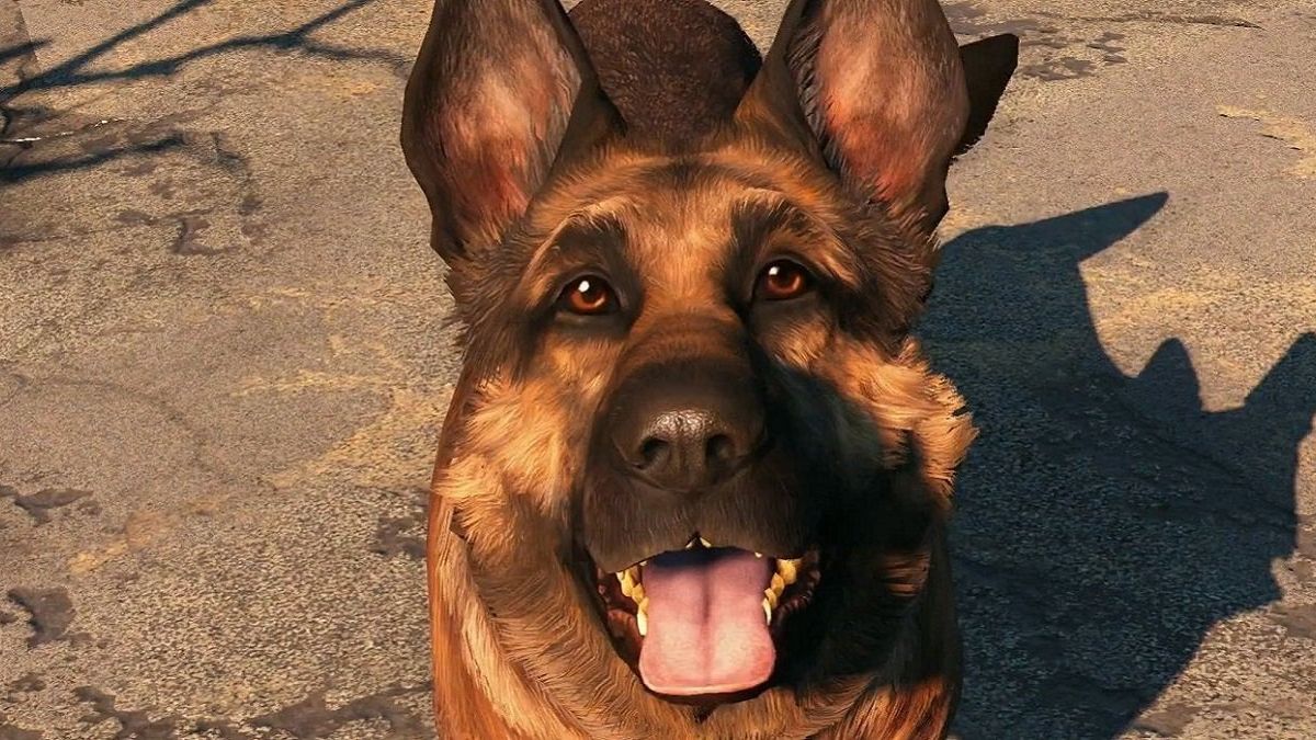 Woman's life saved from gun-wielding dog by brave gaming PC — News news on dripviewz