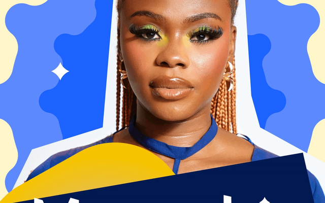 Meet All 24 Big Brother Naija Season 11 Housemates Competing for ₦160 Million | Full List
