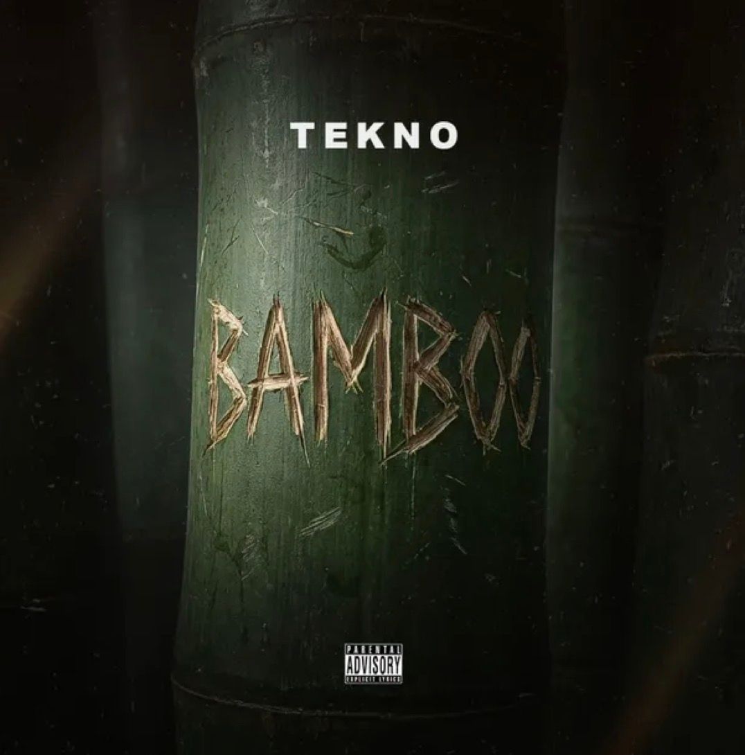 Bamboo Lyrics by Tekno — Music story on dripviewz