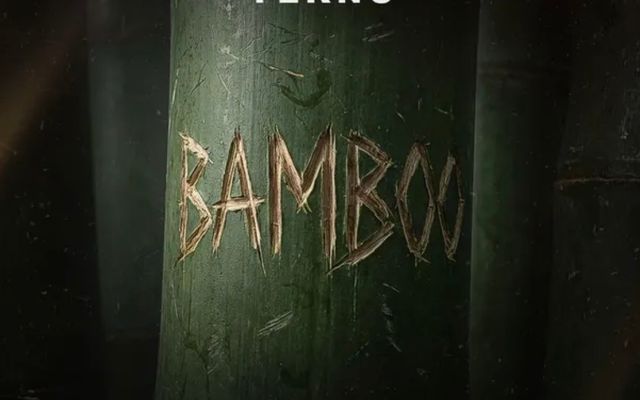 Bamboo Lyrics by Tekno — Music story on dripviewz