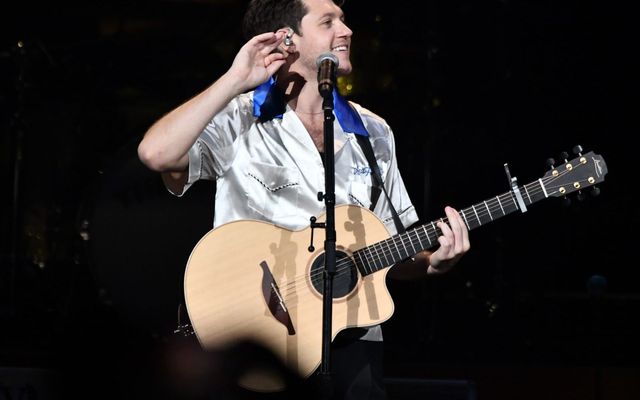 Niall Horan Honors Liam Payne by Playing Late One Direction Bandmate's Voice Onstage for 'End of an Era' — Reality Tv story on dripviewz
