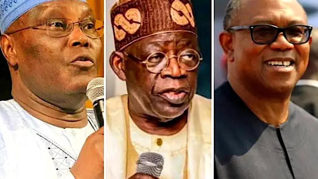 North tired of Tinubu, Atiku, Obi: ACF — Politics news on dripviewz