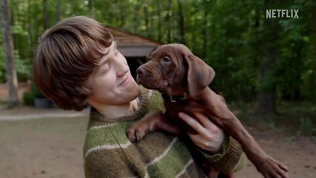 TV fans are livid over live-action Scooby-Doo dog: 'Childhood ruined' — News story on dripviewz