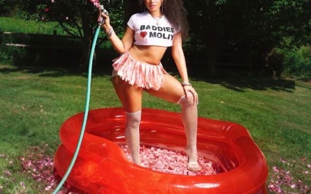 911 (CALL THE LAW) Lyrics by MOLIY