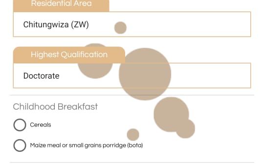 A Zimbabwean developer built a bride price calculator that went global
