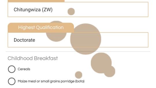 A Zimbabwean developer built a bride price calculator that went global — News news on dripviewz