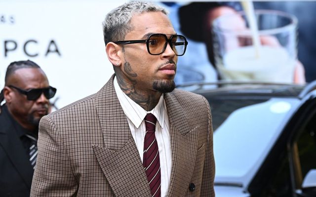 Chris Brown Contests $13M Dog Attack Verdict Over 'Inflammatory' Rihanna Assault Mention — Music story on dripviewz