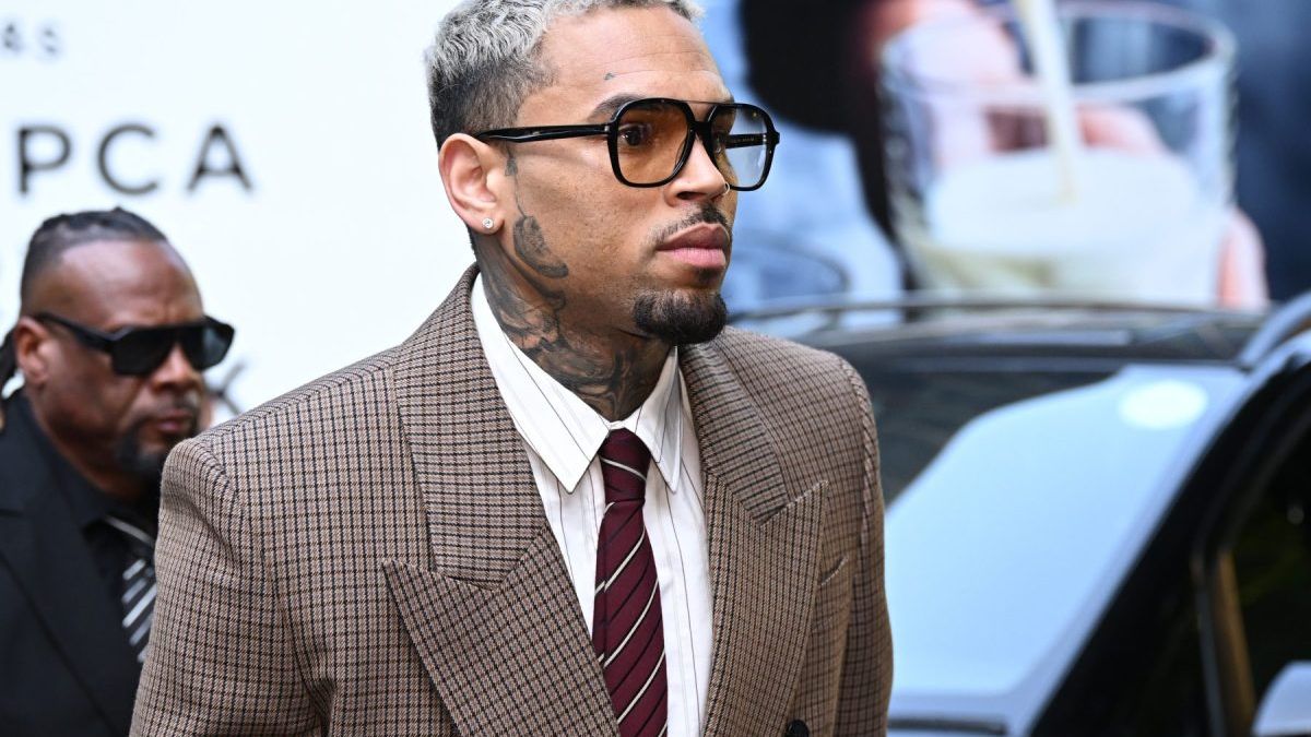 Chris Brown Contests $13M Dog Attack Verdict Over 'Inflammatory' Rihanna Assault Mention — Music news on dripviewz