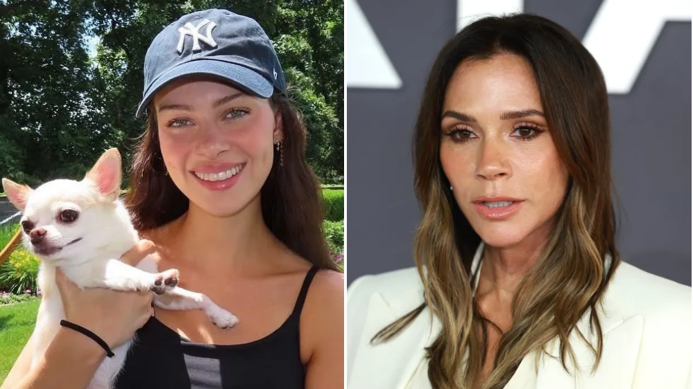 Nicola Peltz suddenly parts ways with charity Victoria 'refused to support' — News news on dripviewz