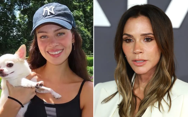 Nicola Peltz suddenly parts ways with charity Victoria 'refused to support' — News story on dripviewz