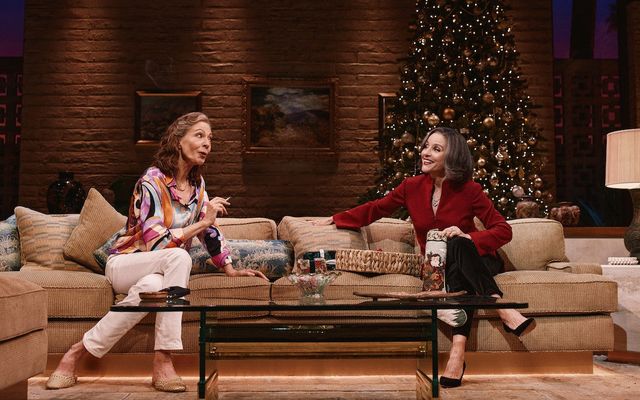 'Other Desert Cities' Broadway Review: Julia Louis-Dreyfus Brings Biting Levity to Her Main Stem Debut