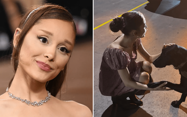 Ariana Grande responds after accidentally posting photo of entire boob — News story on dripviewz