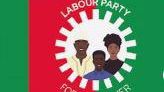 Labour Party sues INEC over exclusion from Enugu by-election — Politics news on dripviewz