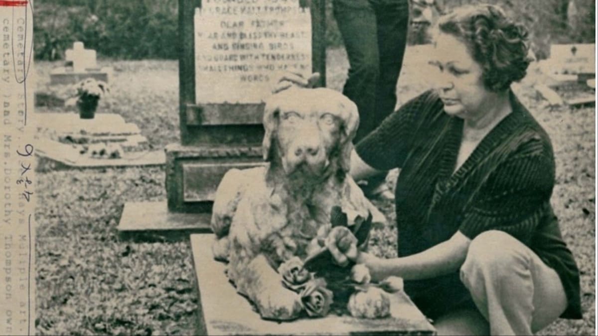 Bayou crimes mostly go unpunished in the haunting HBO doc The Pet Cemetery Murders — Movies story on dripviewz