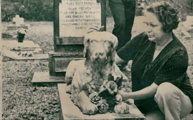 Bayou crimes mostly go unpunished in the haunting HBO doc The Pet Cemetery Murders — Movies story on dripviewz