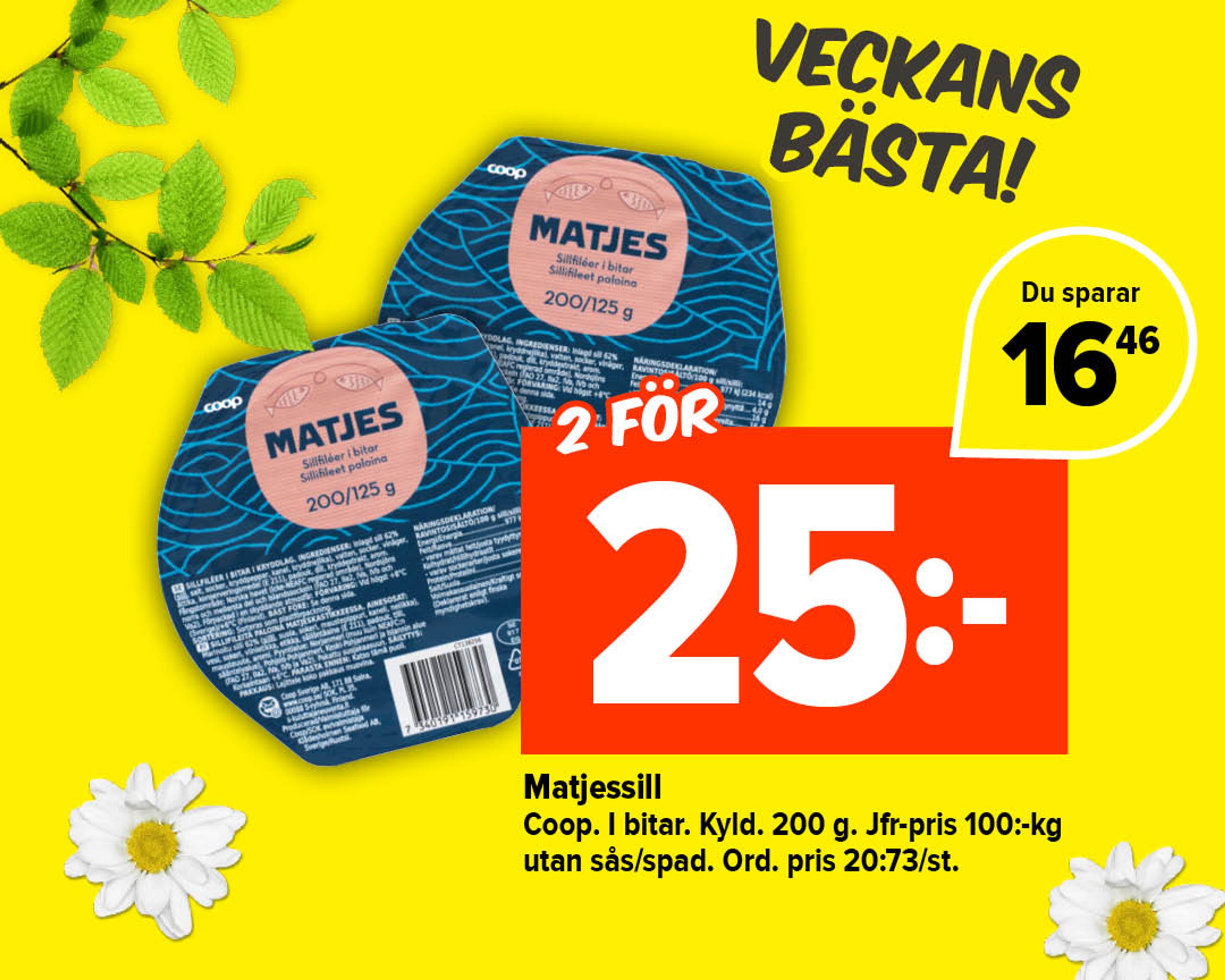 Matjessil