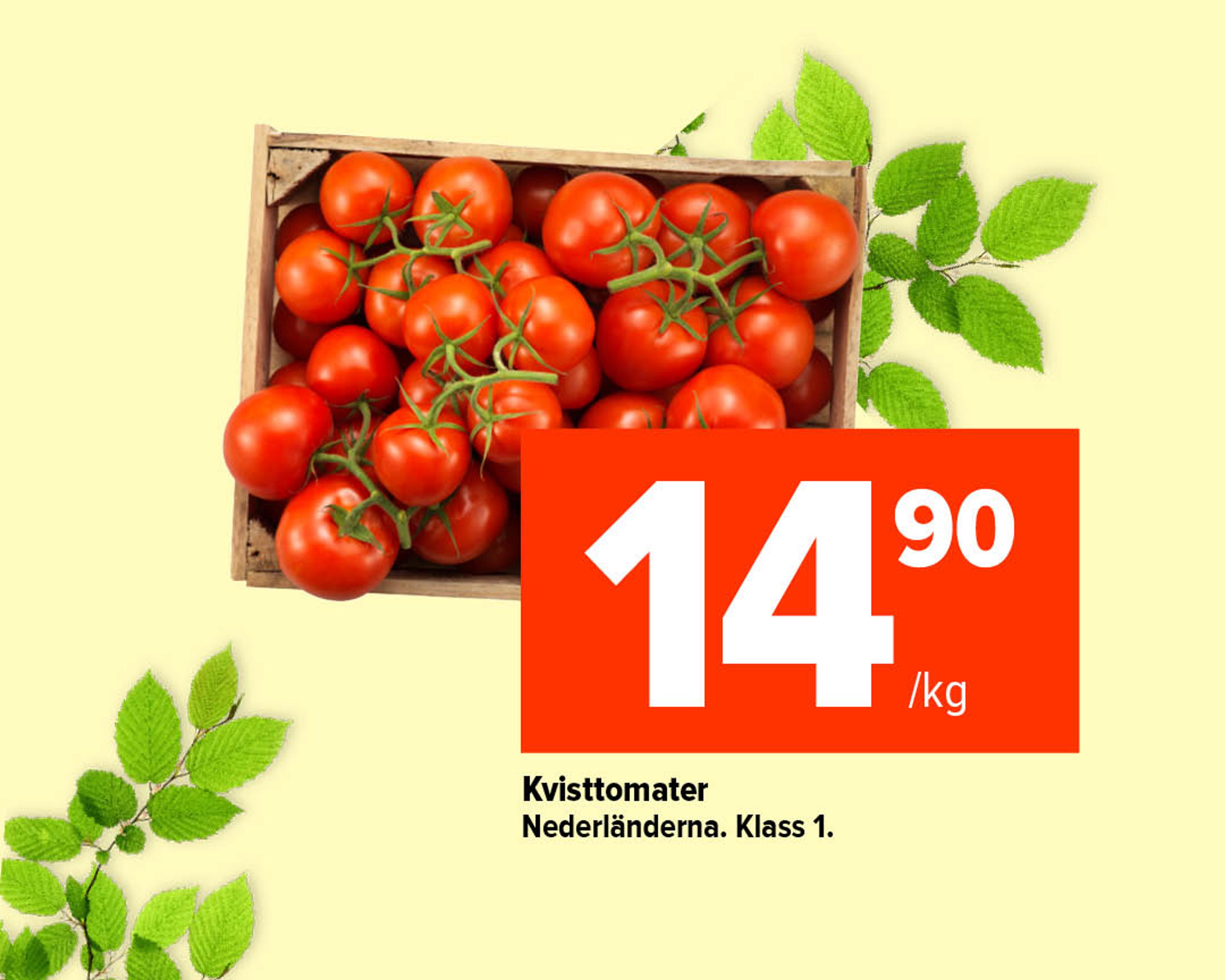 Kvisttomater