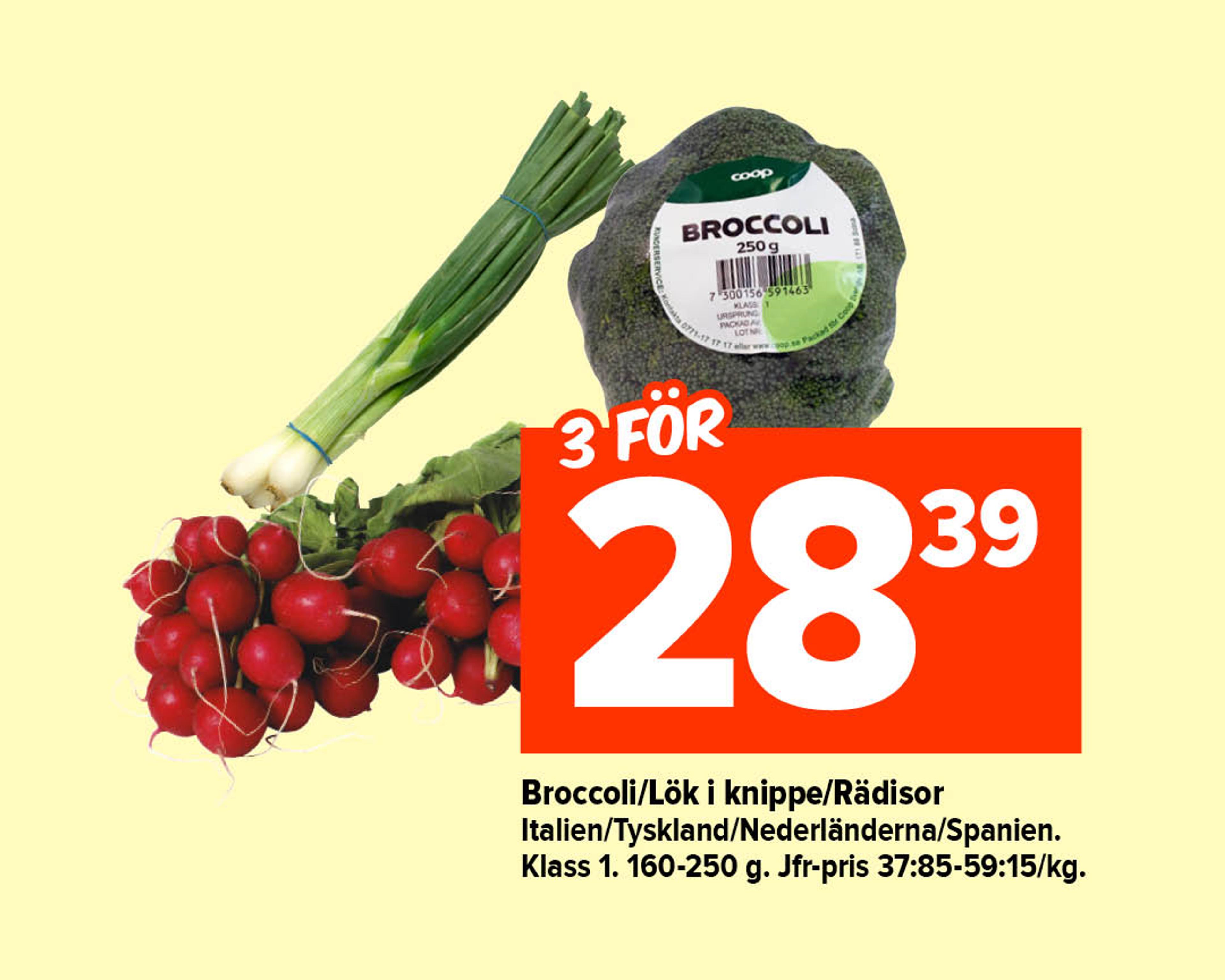 Broccoli/Lök i knippe/Rädisor