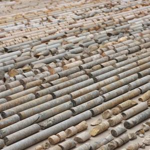 Rows and rows of core samples 