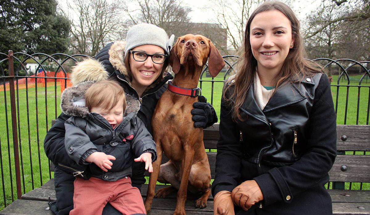 Two adults and a young child are sitting on a park bench with a Hungarian Vizsla