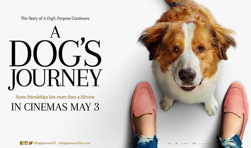 Pawsome prizes! A Dog's Journey giveaway