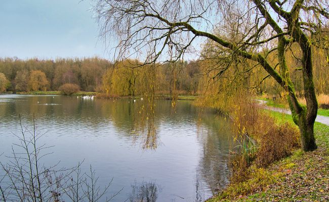 A peaceful lake at Moses Gate Country Park