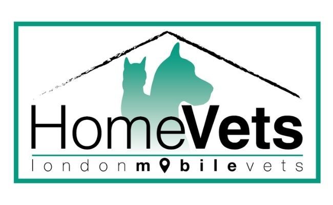 Home Vets Central London