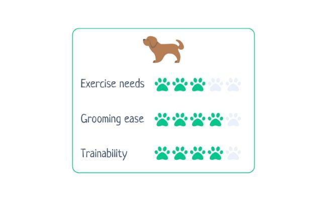 Staffordshire Bull Terrier  Exercise Needs 3/5 Grooming Ease 4/5 Trainability 4/5