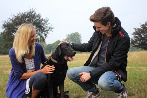 Oso the black Labrador Retriever enjoying a stroke from his borrower whilst his owner sits happily beside him
