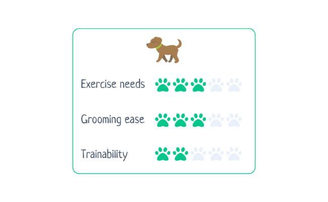 Shiba Inu  Exercise Needs 3/5 Grooming Ease 3/5 Trainability 2/5