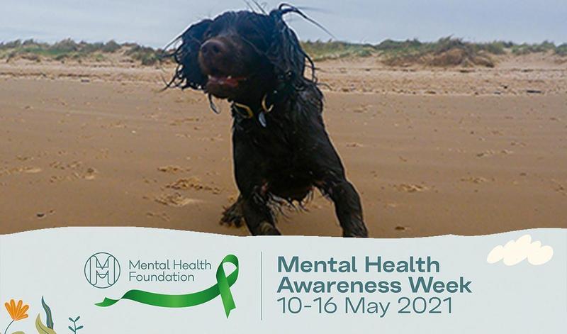 Virtual dog walk | Mindfulness with Wicket