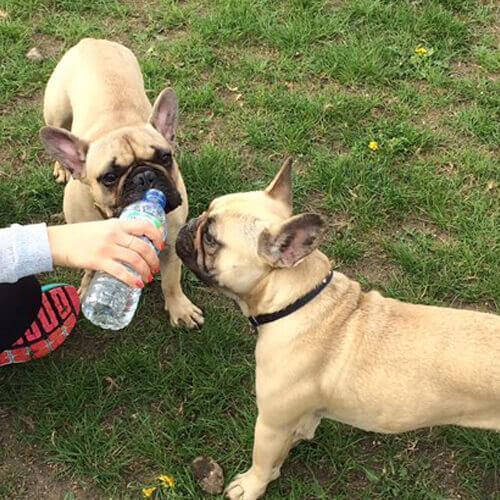 Take the Lead - Borrower Olatz and Frank