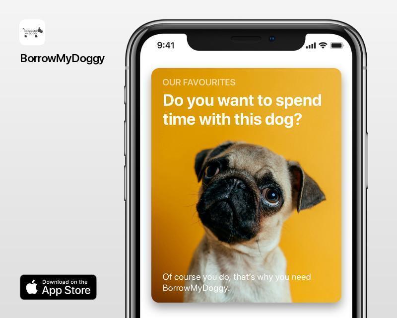 BorrowMyDoggy feature on the Today tab on App Store