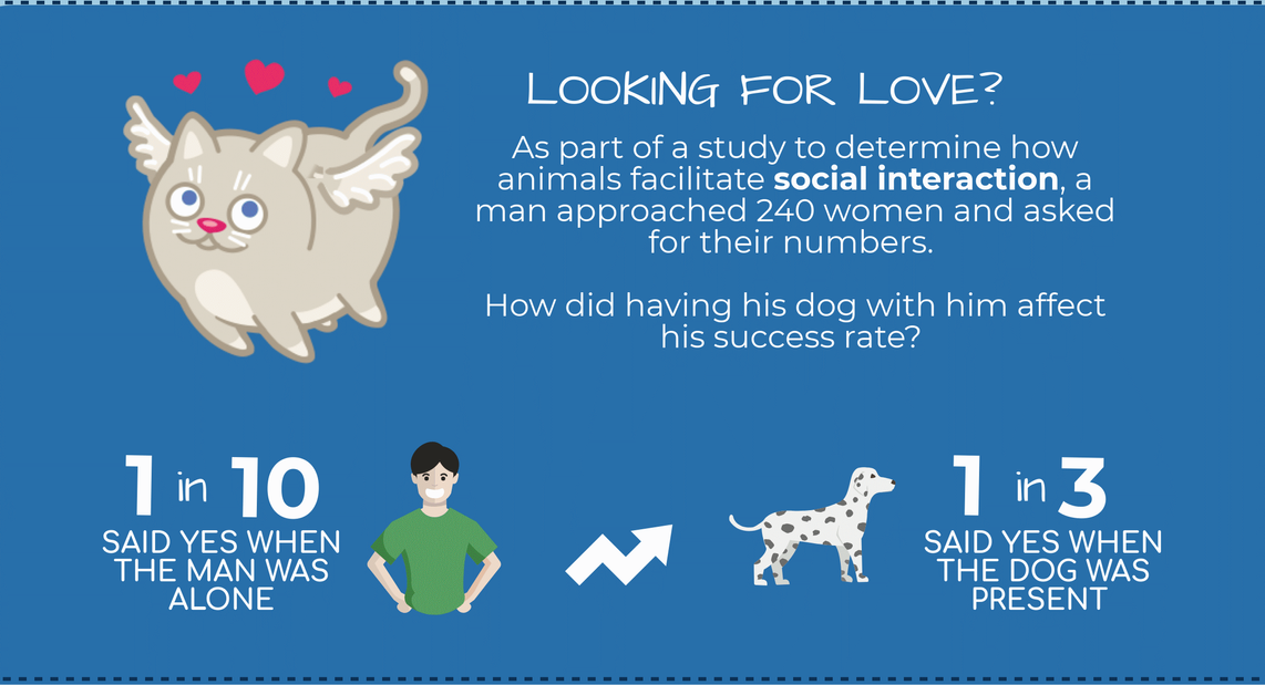 Looking for love? As part of a study to determine how animals facilitate social interaction, a man approached 240 women and asked for their numbers. How did having a dog with him affect his success rate? 1 in 10 said yes when the man was alone. 1 in 3 said yes when the dog was present.