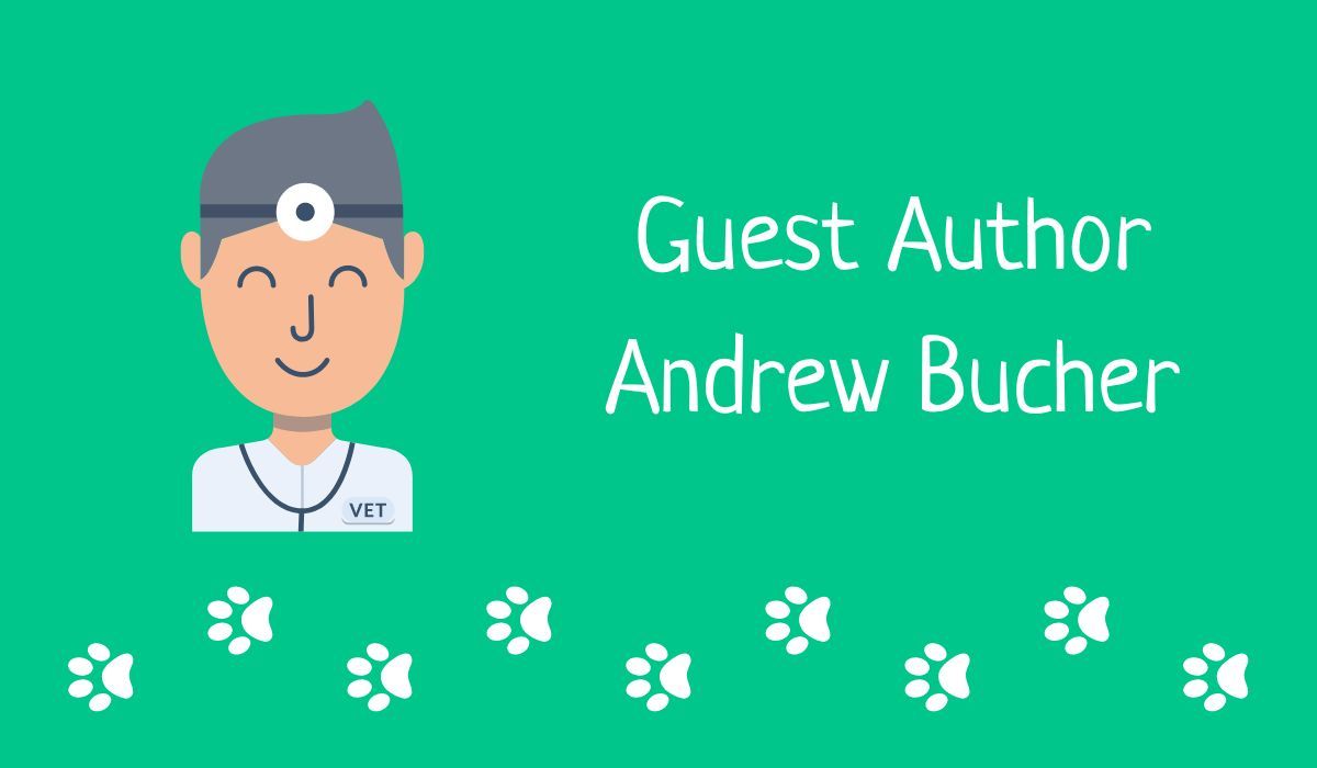 Guest Author Andrew Bucher 