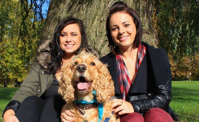 Doggy member Leo, Liz and Sophie sitting together happily in the park on a sunny spring day