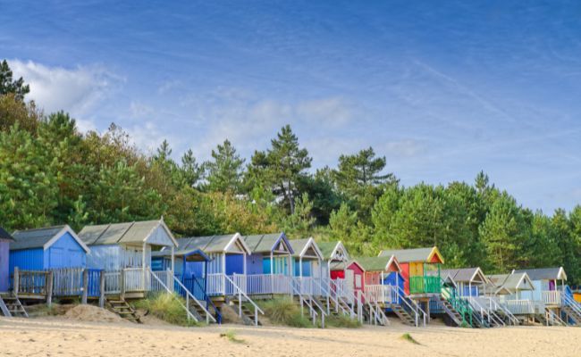 A row of colourful beach huts on a flat sandy beach backed by luscious green trees and a blue sky
