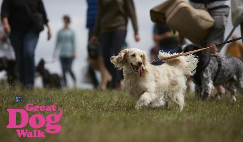Free tickets to the Great Dog Walk