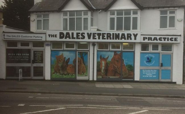 Dales Veterinary Practice