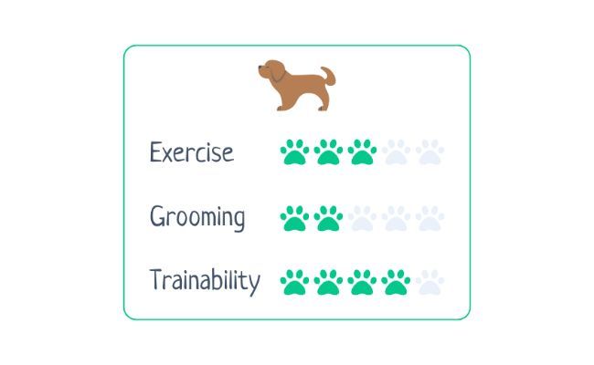 Exercise Needs : 3/5 Grooming Ease: 2/5 Trainability: 4/5