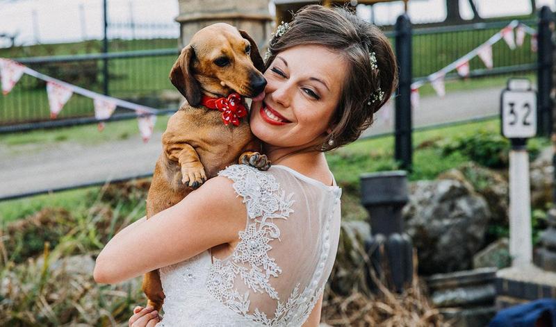 How to have a dog friendly wedding