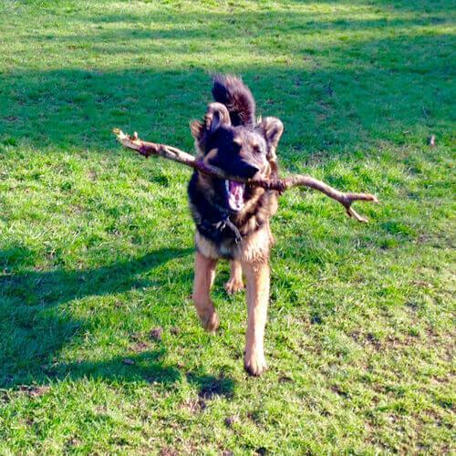 Take the Lead - Jodie and Fen