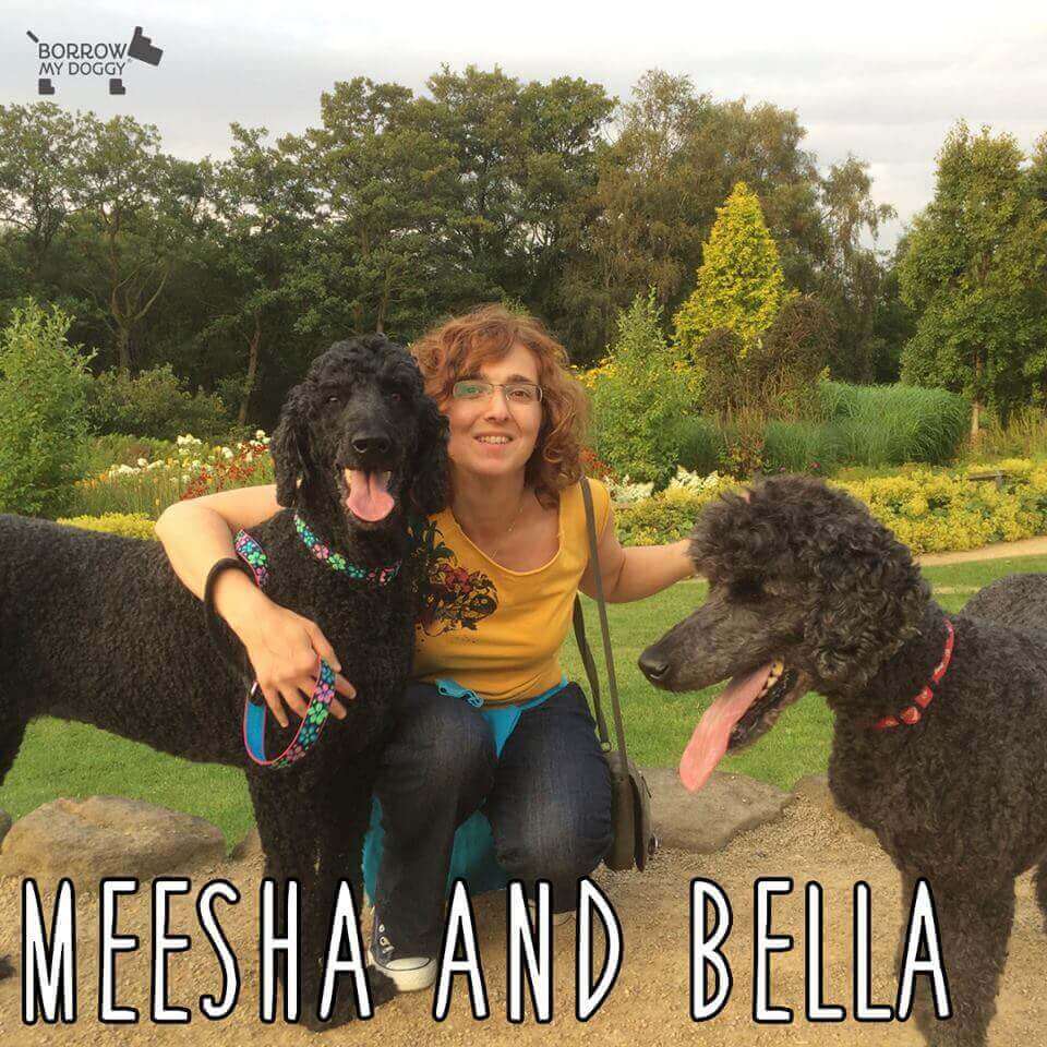 Meesha and Bella with dog sitter Sarah