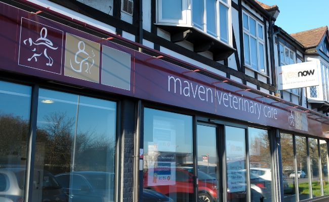 Maven Veterinary Care