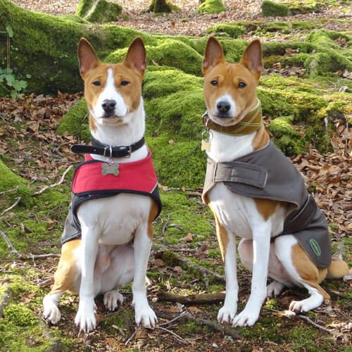 Vesta and Sky are in co-ordinating coats, sitting on a mossy forest floor